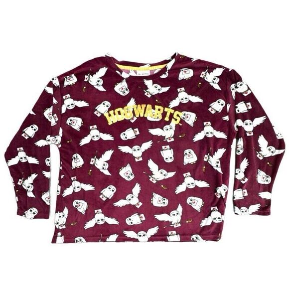 Harry Potter PJ Set 2 Piece Brick Red XL (16-18) Hogwarts Owl Hedwig Girls - Picture 3 of 14